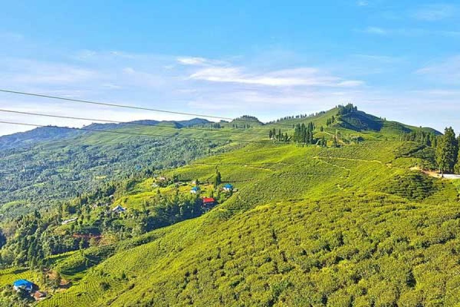 Illam Tour